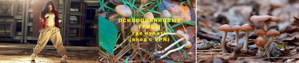 скорость Верея